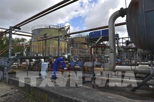 Thị trường dầu chờ tin từ cuộc họp của OPEC